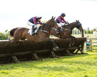 Race 6 - Open Maiden (12 of 107).jpg