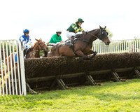 Race 6 - Open Maiden (13 of 107).jpg