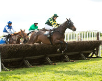 Race 6 - Open Maiden (14 of 107).jpg