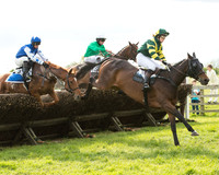 Race 6 - Open Maiden (16 of 107).jpg