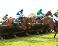 Race 6 - Open Maiden (17 of 107).jpg