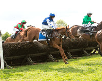 Race 6 - Open Maiden (18 of 107).jpg