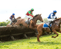 Race 6 - Open Maiden (20 of 107).jpg