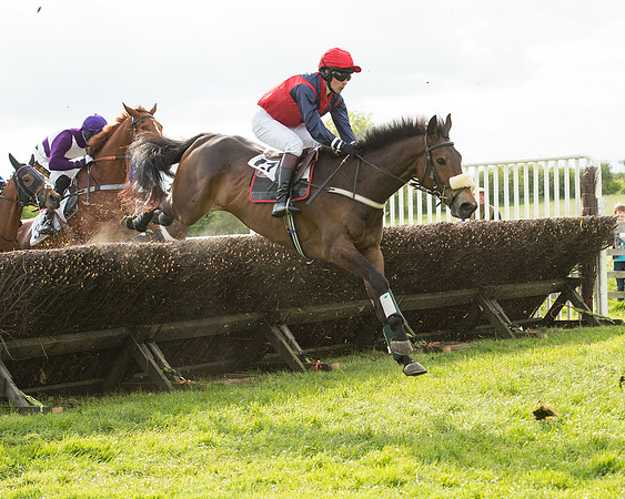 Race 6 - Open Maiden (21 of 107).jpg