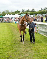 Race 7 - PPORA Members Conditions (13 of 128).jpg
