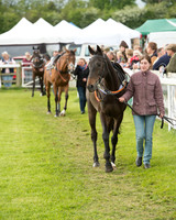 Race 7 - PPORA Members Conditions (15 of 128).jpg