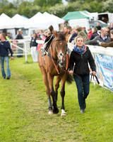 Race 7 - PPORA Members Conditions (17 of 128).jpg