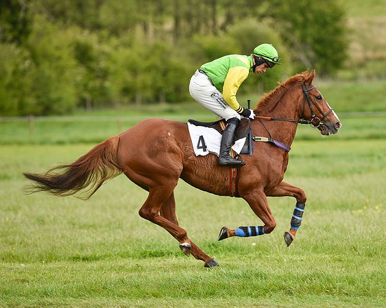 Race 7 - PPORA Members Conditions (48 of 128).jpg