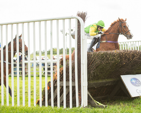 Race 7 - PPORA Members Conditions (102 of 128).jpg