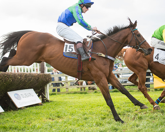 Race 7 - PPORA Members Conditions (108 of 128).jpg