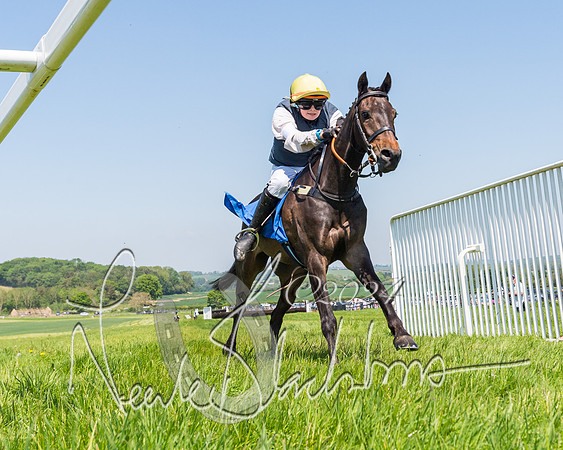 Pony Races  (37 of 141)