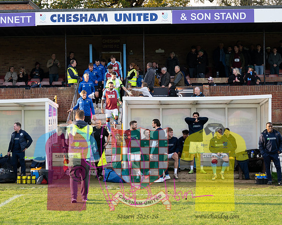 Chesham United 0 v 1 Salisbury (63 of 548)