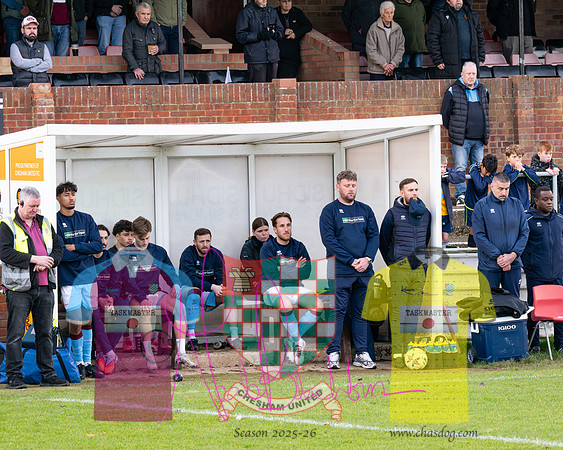 Chesham United 0 v 1 Salisbury (86 of 548)