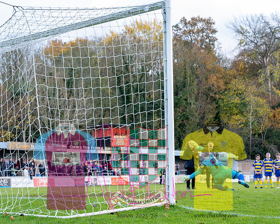 Chesham United 0 v 1 Salisbury (245 of 548)
