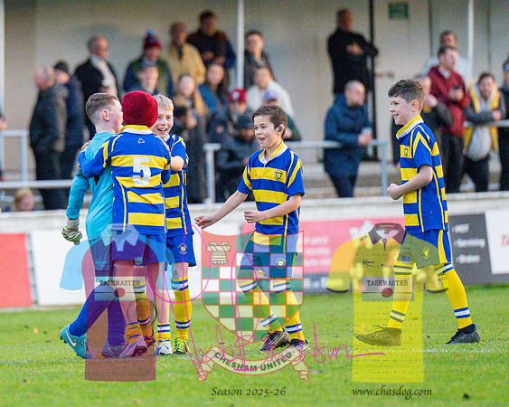 Chesham United 0 v 1 Salisbury (251 of 548)