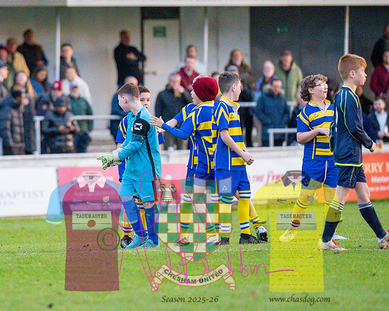 Chesham United 0 v 1 Salisbury (250 of 548)