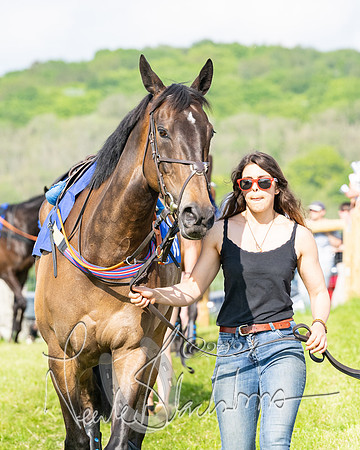 Race 5  - Maiden race 2m5F Div-2 (14 of 205)