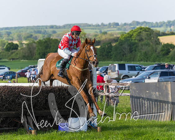 Race 7 - Veteran Horse (175 of 246)