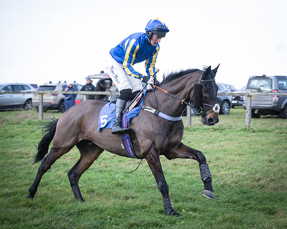Race 2 - Maiden (17 of 145)