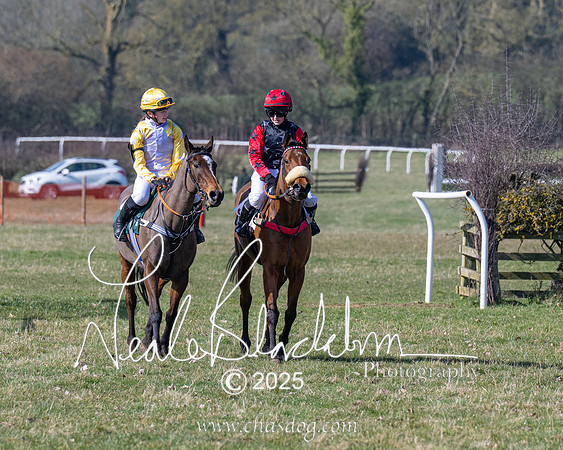 Pony Race 1 - Novice (23 of 38)