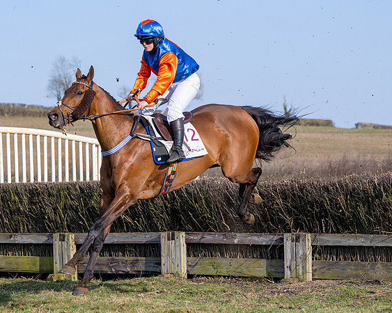 Race 5 - PPORA Five years and over (91 of 163)