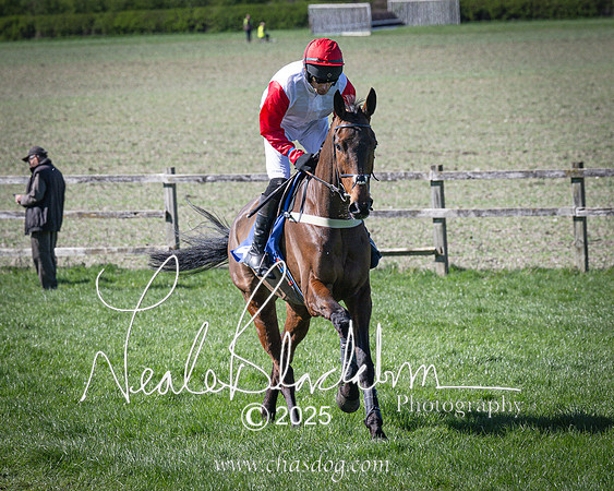 Race 4 - Mixed Open (38 of 168)