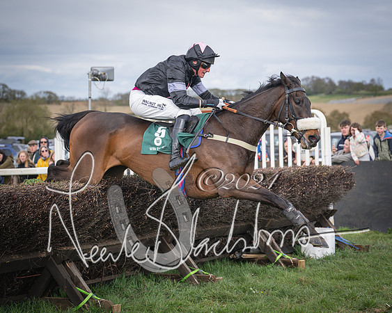 Race 3 - 5 years old and Over Maiden Race (82 of 130)