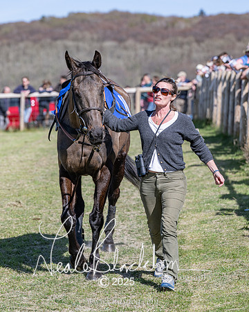 Race 5 - The restricted (3 of 113)