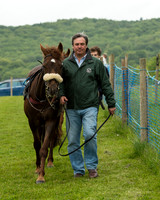Pony Race 1  (1 of 80).jpg