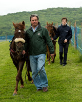 Pony Race 1  (2 of 80).jpg
