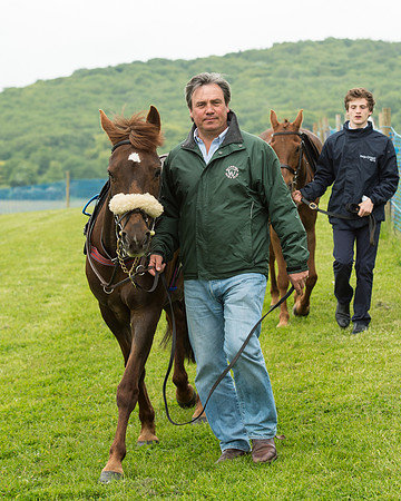 Pony Race 1 (2 of 75).jpg