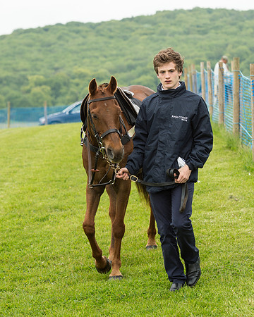 Pony Race 1 (3 of 75).jpg