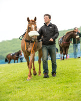 Pony Race 1 (10 of 75).jpg