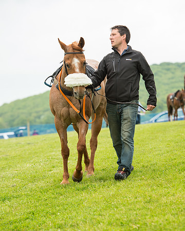 Pony Race 1 (12 of 75).jpg
