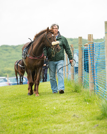 Pony Race 1 (13 of 75).jpg