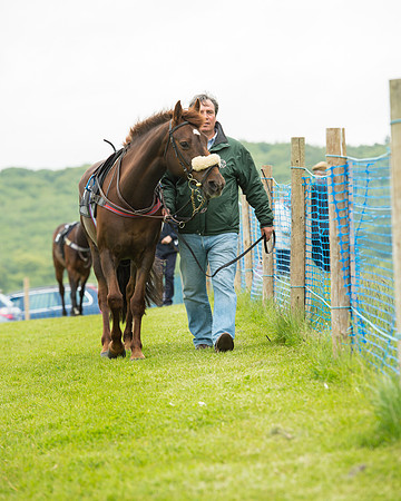 Pony Race 1 (14 of 75).jpg