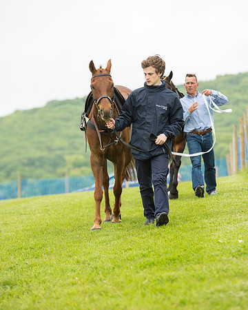 Pony Race 1 (16 of 75).jpg