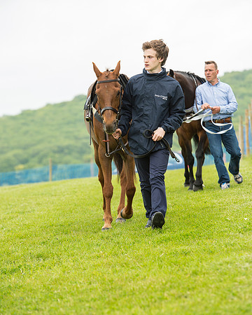 Pony Race 1 (18 of 75).jpg