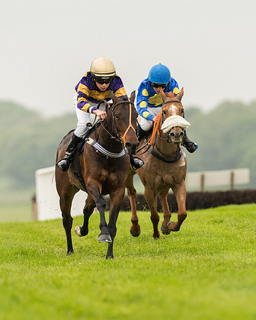 Pony Race 1 (40 of 75)-2.jpg