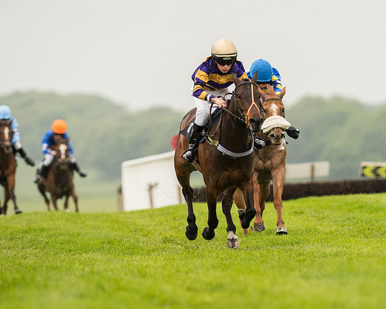 Pony Race 1 (41 of 75).jpg