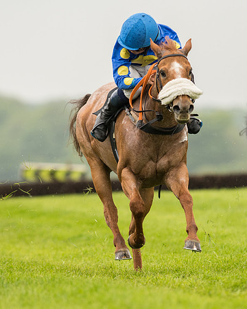Pony Race 1 (44 of 75).jpg