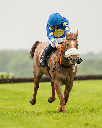 Pony Race 1 (45 of 75).jpg