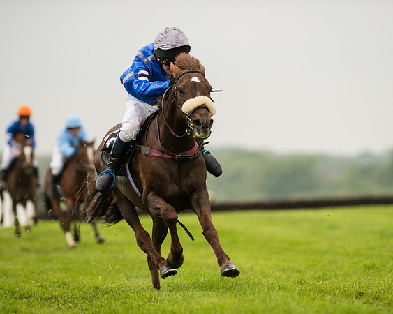 Pony Race 1 (46 of 75).jpg
