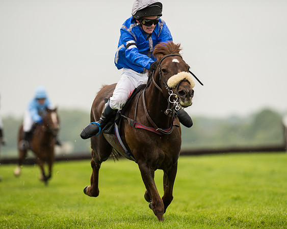 Pony Race 1 (47 of 75).jpg