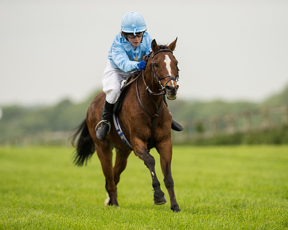 Pony Race 1 (49 of 75).jpg