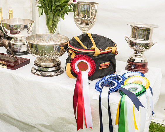 Pony Race 1 (60 of 75).jpg