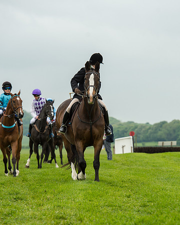Pony Race 2 (6 of 64).jpg