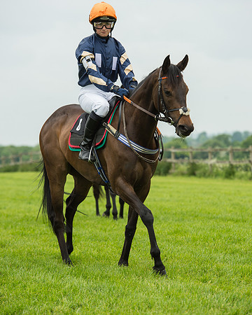 Pony Race 2 (14 of 64).jpg