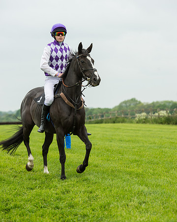 Pony Race 2 (24 of 64).jpg