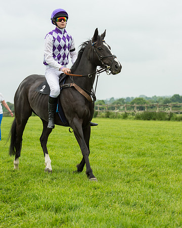 Pony Race 2 (26 of 64).jpg